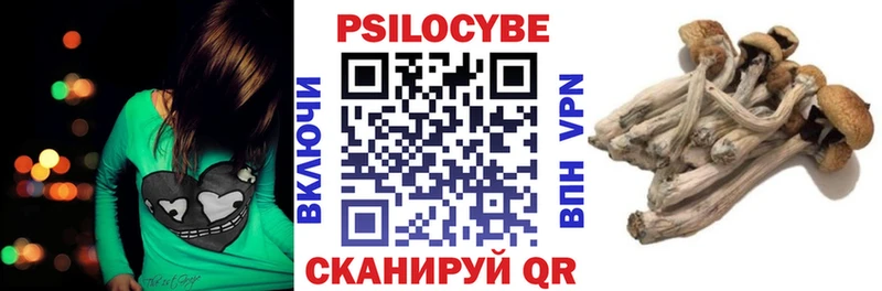 Галлюциногенные грибы Cubensis  Бородино 